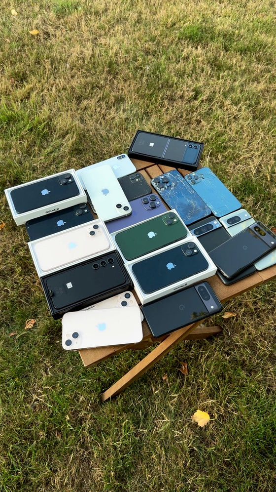 A batch laid out for grading, several with cracked backs. These are the ones other buyers turn down.